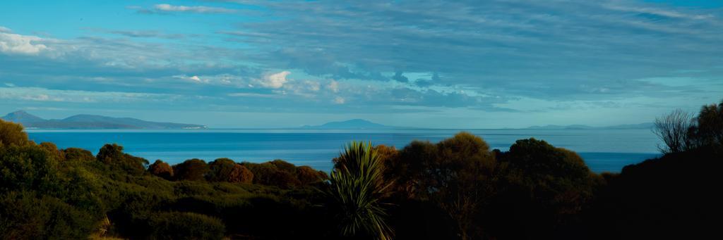 Eagle Peaks At Freycinet Διαμέρισμα Coles Bay Εξωτερικό φωτογραφία